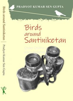 Birds around Santiniketan